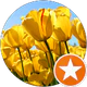 Nupelda Kndmr profil fotoğrafı