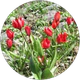 egid klkan profil fotoğrafı