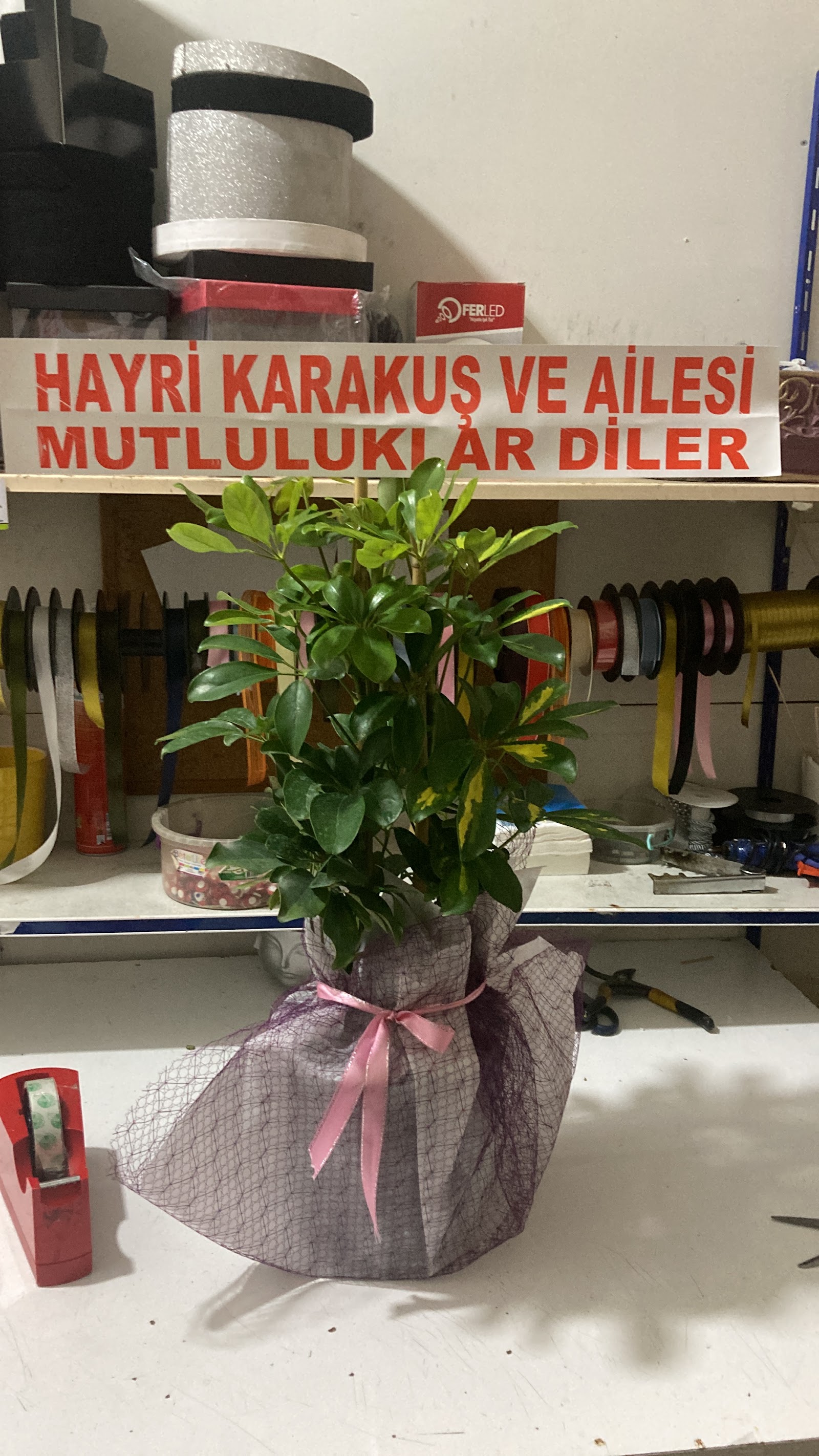 Diyarbakır Çiçekçi | Fulya Çiçekçilik