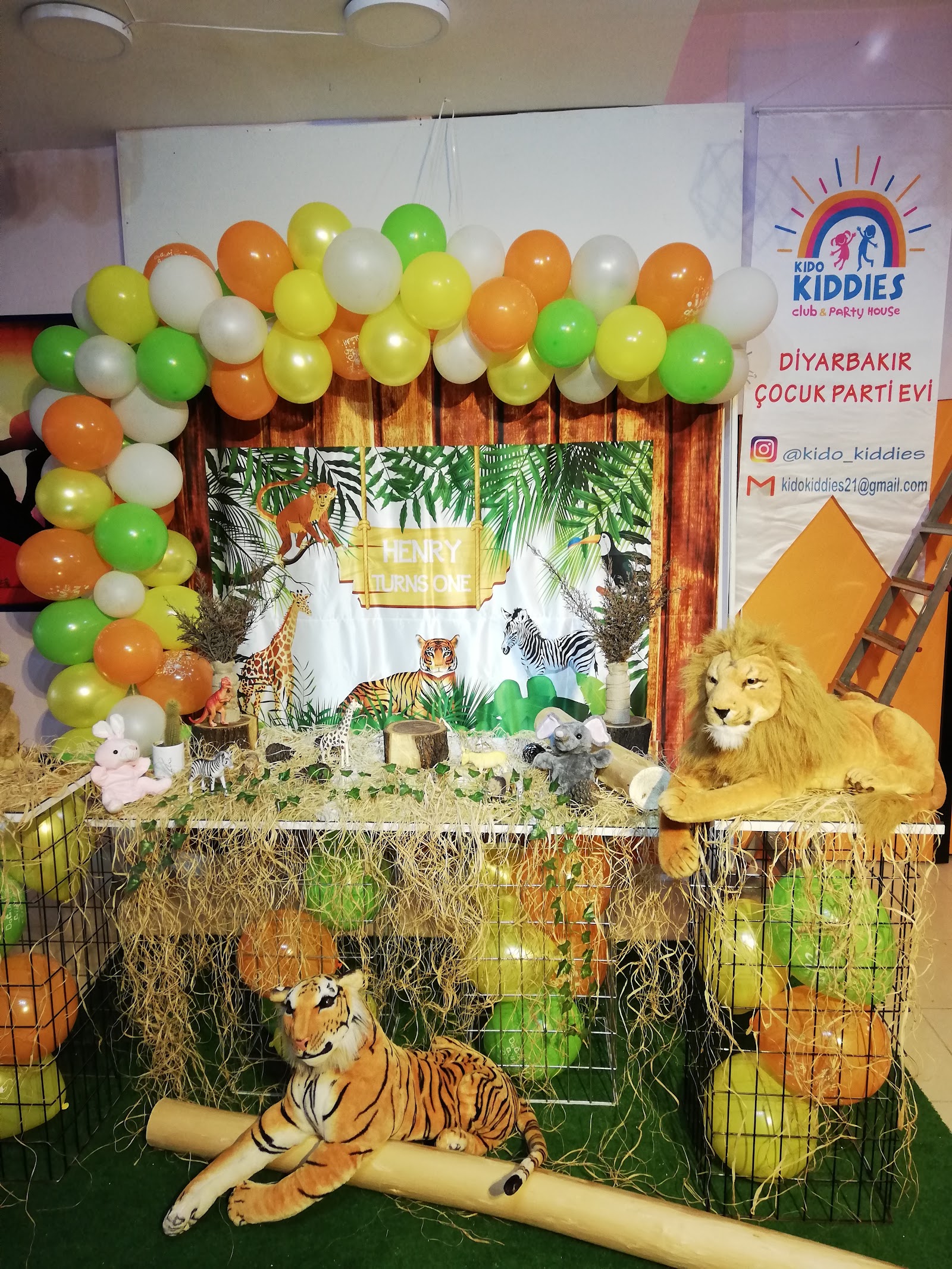 Kido Kiddies Party