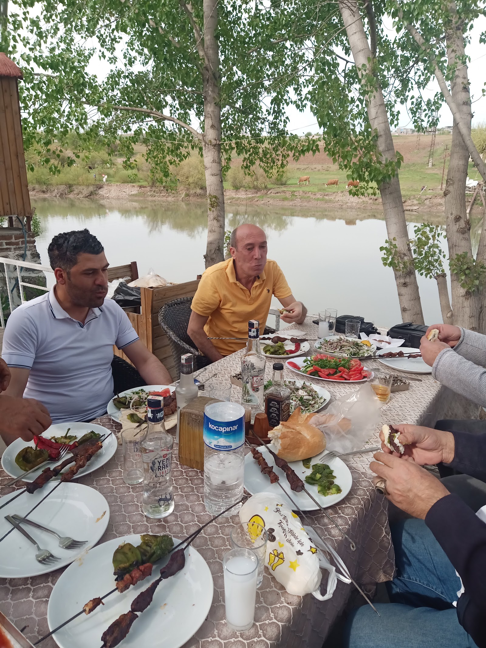 Vadi Park Düğün Salonu — Yenişehir, Diyarbakır kır düğünü mekanı görsel 4