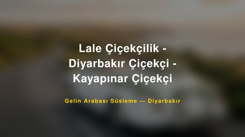 Lale Çiçekçilik - Diyarbakır Çiçekçi - Kayapınar Çiçekçi Diyarbakır Gelin Arabası Süsleme