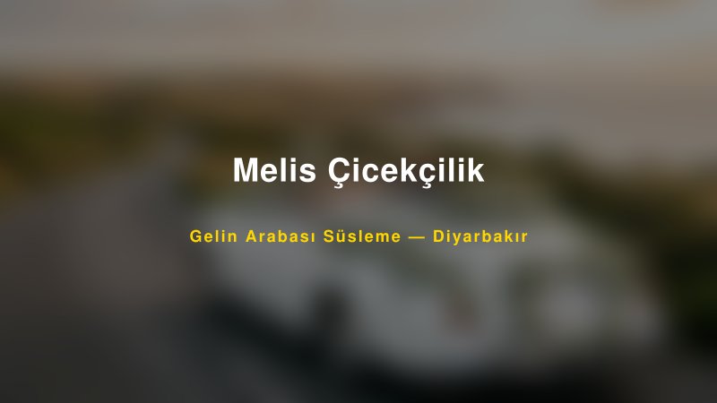Melis Çicekçilik Gelin Arabası Süsleme Fiyatları — 1