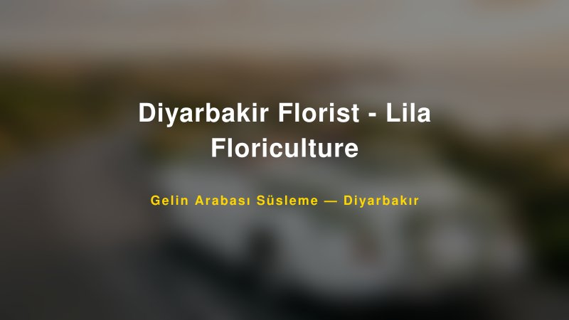 Diyarbakir Florist - Lila Floriculture Gelin Arabası Süsleme Fiyatları — 1
