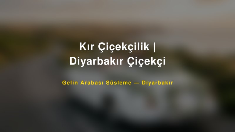 Kır Çiçekçilik | Diyarbakır Çiçekçi Gelin Arabası Süsleme Fiyatları — 1