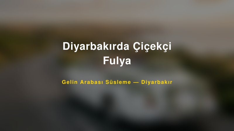 Diyarbakırda Çiçekçi Fulya ile Trend Gelin Arabası Yazıları ve Konseptleri